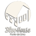 BlueHouse